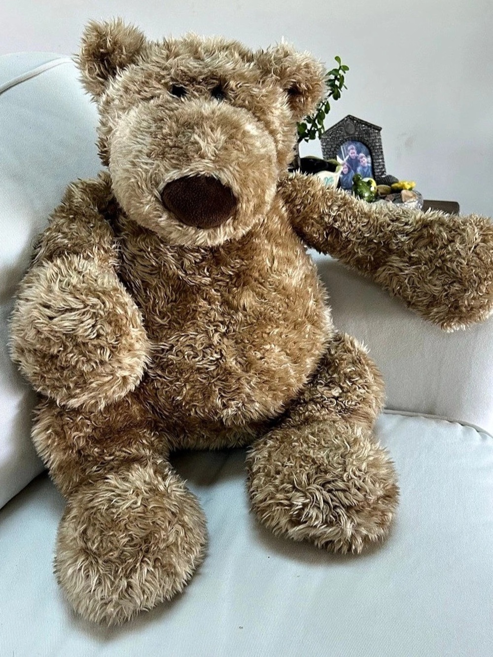 GUND Classic™ Classic Teddy Bear Brown Like New Clancy born 2003 Pottery Barn 24